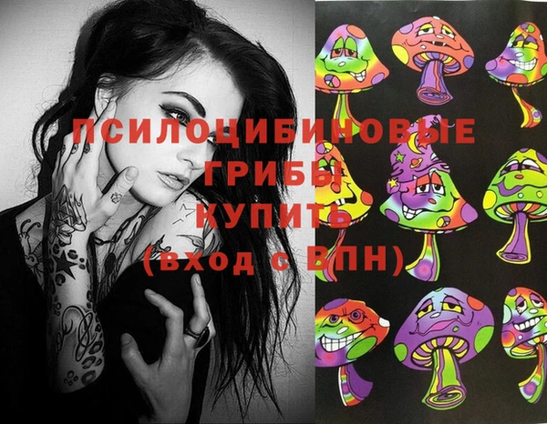 мдпв Алзамай