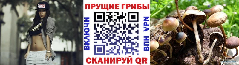 купить наркотик  Зеленоградск  блэк спрут ССЫЛКА  Галлюциногенные грибы мухоморы 